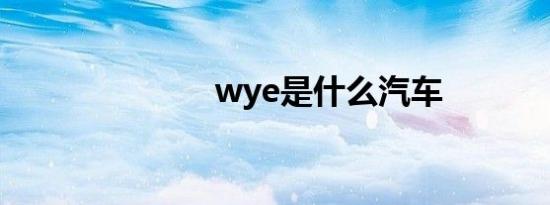 wye是什么汽车