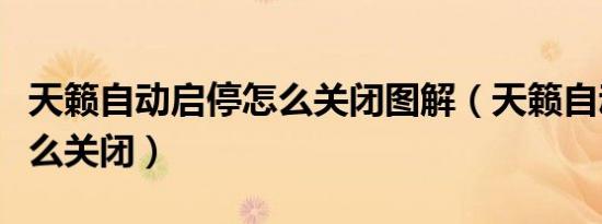 天籁自动启停怎么关闭图解（天籁自动启停怎么关闭）