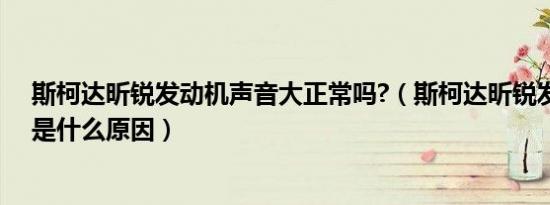 斯柯达昕锐发动机声音大正常吗?（斯柯达昕锐发动机异响是什么原因）