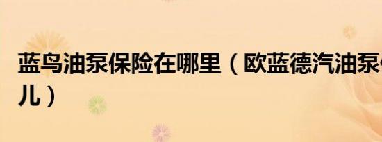 蓝鸟油泵保险在哪里（欧蓝德汽油泵保险在哪儿）