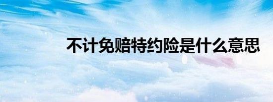 不计免赔特约险是什么意思