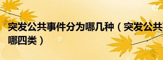 突发公共事件分为哪几种（突发公共事件分为哪四类）