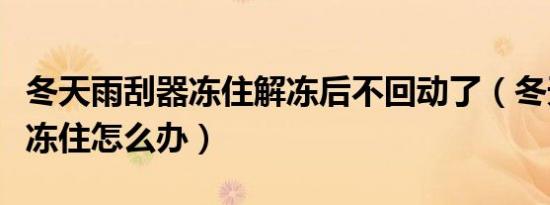 冬天雨刮器冻住解冻后不回动了（冬天雨刮器冻住怎么办）