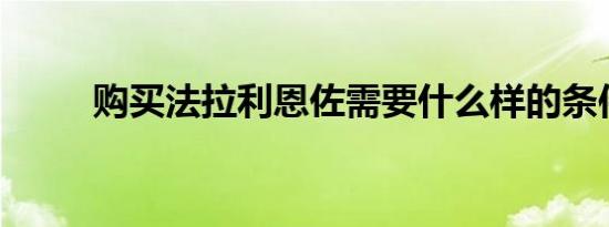 购买法拉利恩佐需要什么样的条件