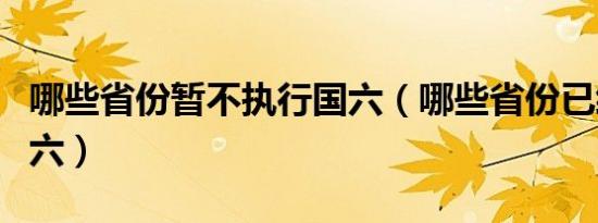 哪些省份暂不执行国六（哪些省份已经执行国六）
