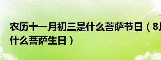 农历十一月初三是什么菩萨节日（8月初三是什么菩萨生日）