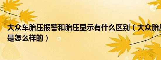 大众车胎压报警和胎压显示有什么区别（大众胎压报警标志是怎么样的）