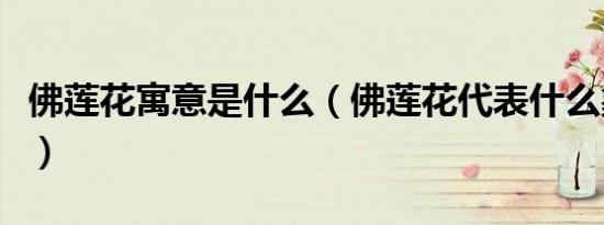 佛莲花寓意是什么（佛莲花代表什么象征意义）