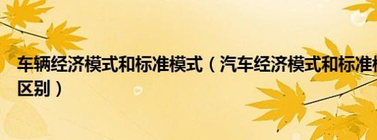 车辆经济模式和标准模式（汽车经济模式和标准模式有什么区别）