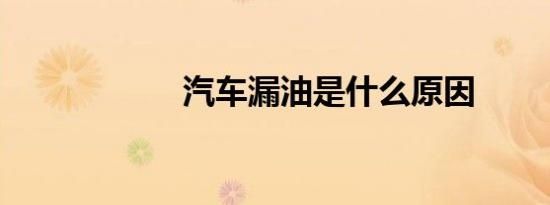 汽车漏油是什么原因