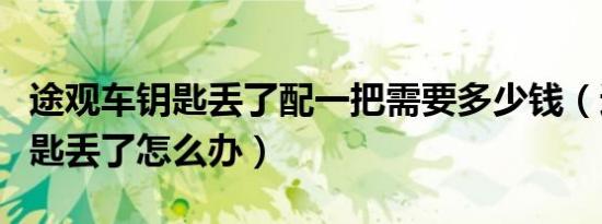 途观车钥匙丢了配一把需要多少钱（途观车钥匙丢了怎么办）