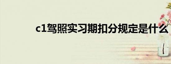 c1驾照实习期扣分规定是什么