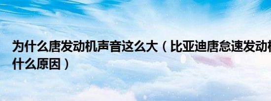为什么唐发动机声音这么大（比亚迪唐怠速发动机声音大是什么原因）