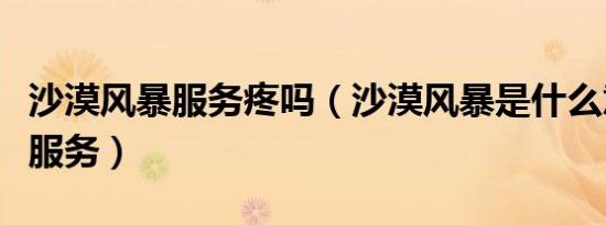 沙漠风暴服务疼吗（沙漠风暴是什么意思什么服务）