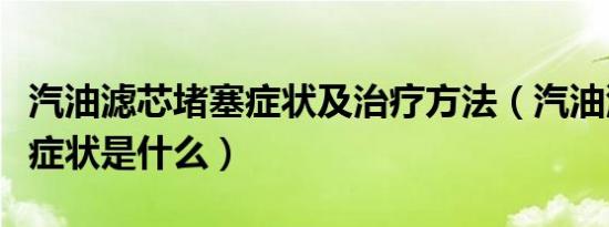 汽油滤芯堵塞症状及治疗方法（汽油滤芯堵塞症状是什么）
