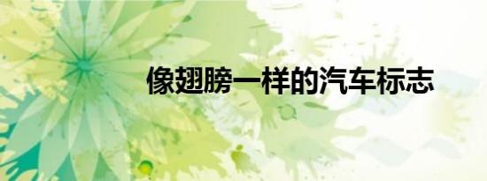 像翅膀一样的汽车标志
