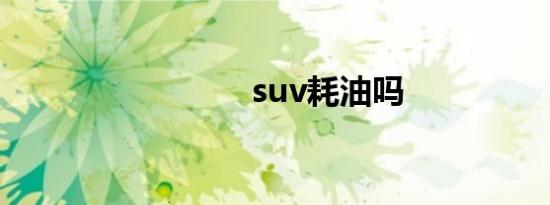 suv耗油吗