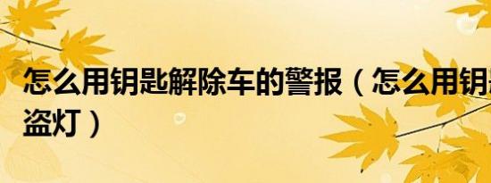 怎么用钥匙解除车的警报（怎么用钥匙解除防盗灯）