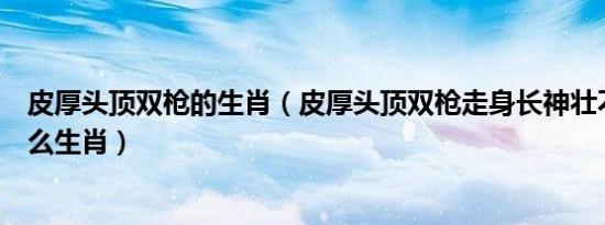 皮厚头顶双枪的生肖（皮厚头顶双枪走身长神壮不耕田是什么生肖）