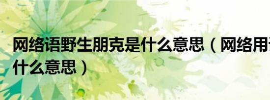 网络语野生朋克是什么意思（网络用语朋克是什么意思）