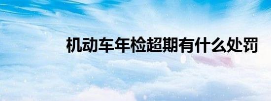 机动车年检超期有什么处罚