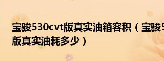 宝骏530cvt版真实油箱容积（宝骏530CVT版真实油耗多少）