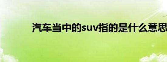 汽车当中的suv指的是什么意思