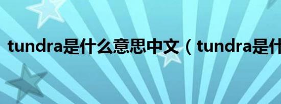 tundra是什么意思中文（tundra是什么车）