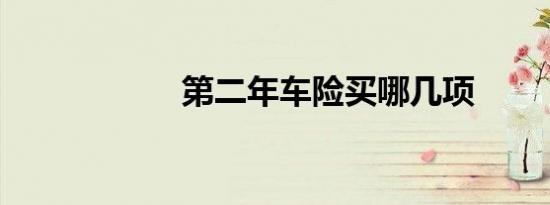 第二年车险买哪几项