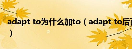 adapt to为什么加to（adapt to后面接什么）