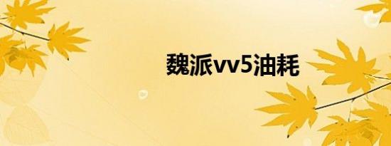 魏派vv5油耗