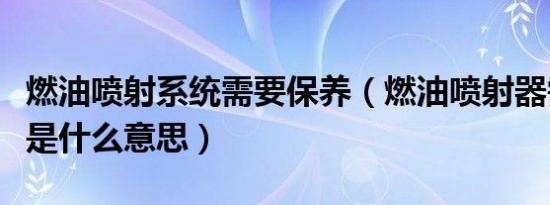 燃油喷射系统需要保养（燃油喷射器需要保养是什么意思）