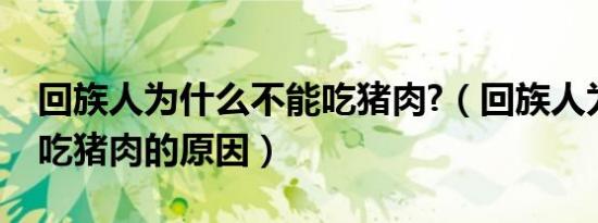 回族人为什么不能吃猪肉?（回族人为什么不吃猪肉的原因）