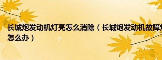长城炮发动机灯亮怎么消除（长城炮发动机故障灯亮了应该怎么办）