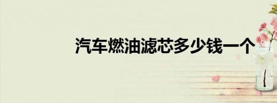 汽车燃油滤芯多少钱一个
