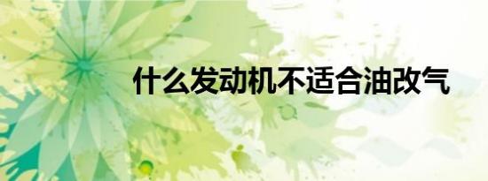 什么发动机不适合油改气
