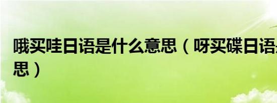 哦买哇日语是什么意思（呀买碟日语是什么意思）