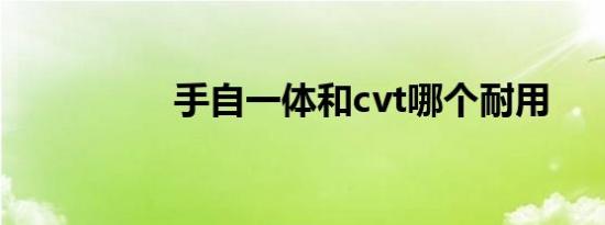 手自一体和cvt哪个耐用