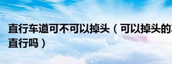直行车道可不可以掉头（可以掉头的车道可以直行吗）