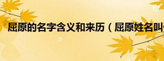 屈原的名字含义和来历（屈原姓名叫什么）