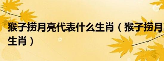 猴子捞月亮代表什么生肖（猴子捞月出过什么生肖）