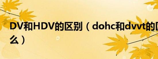 DV和HDV的区别（dohc和dvvt的区别是什么）