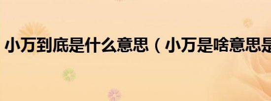 小万到底是什么意思（小万是啥意思是什么）