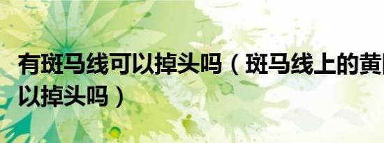 有斑马线可以掉头吗（斑马线上的黄网格线可以掉头吗）