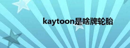 kaytoon是啥牌轮胎