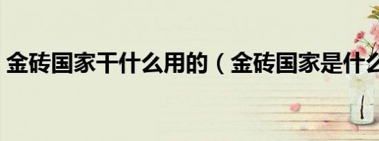 金砖国家干什么用的（金砖国家是什么概念）