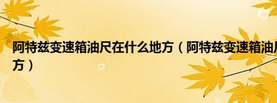 阿特兹变速箱油尺在什么地方（阿特兹变速箱油尺在什么地方）