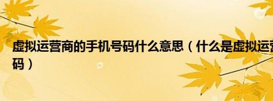 虚拟运营商的手机号码什么意思（什么是虚拟运营商手机号码）