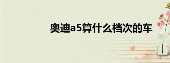 奥迪a5算什么档次的车