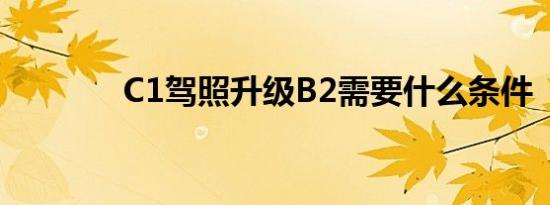 C1驾照升级B2需要什么条件